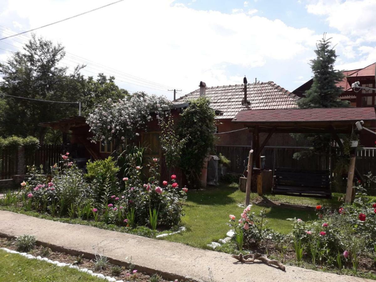 Ferienwohnung Casa Fetic Nehoiu Exterior foto